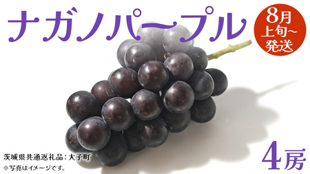 ナガノパープル 4房 【2025年8月上旬発送開始】(茨城県共通返礼品：大子町) ぶどう 葡萄 ブドウ 果物 フルーツ 果実