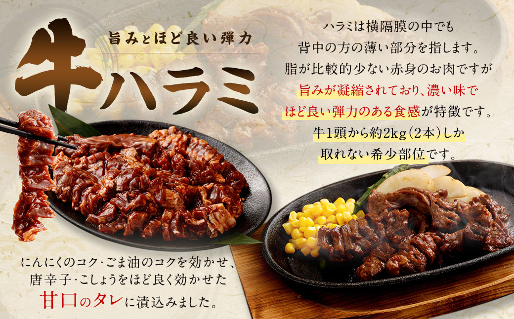 【選べる！】【訳あり】秘伝コク旨たれ漬け牛サガリ肉1.2kg／たれ漬け牛ハラミ肉1.2kg