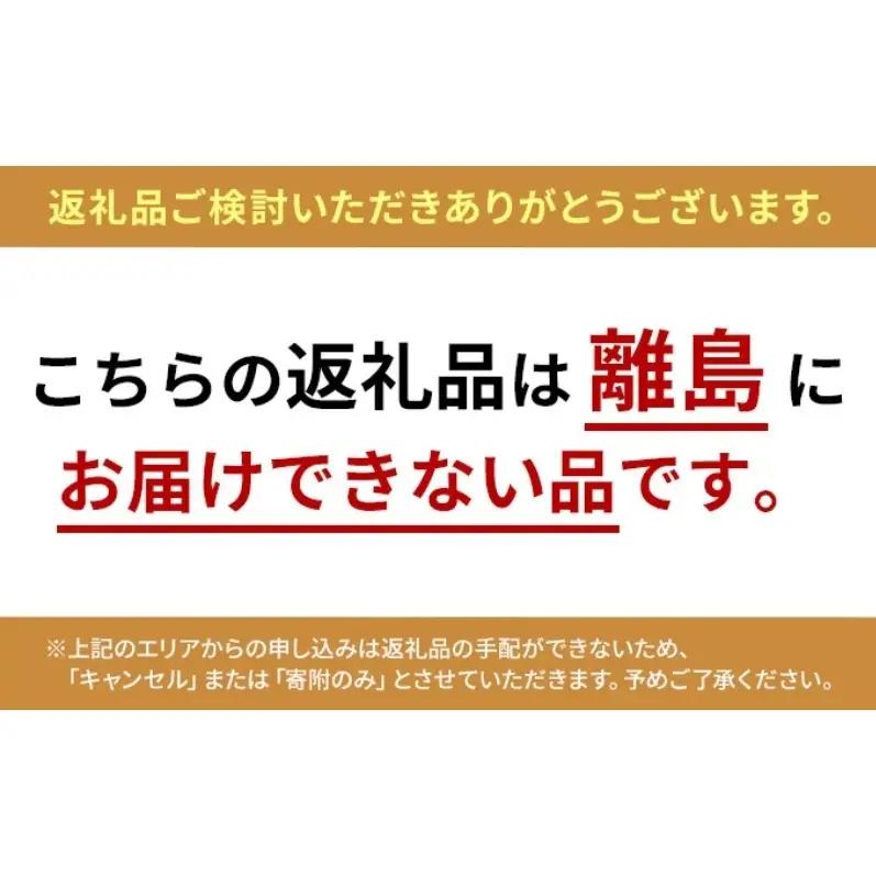 銀河アイス 業務用2リットル マンゴー