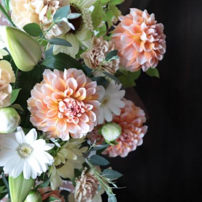 ふるさと納税 筑西市 【2週間毎定期便】癒しのフラワーセラピーアレンジメント/LLサイズ全24回 |  | 01