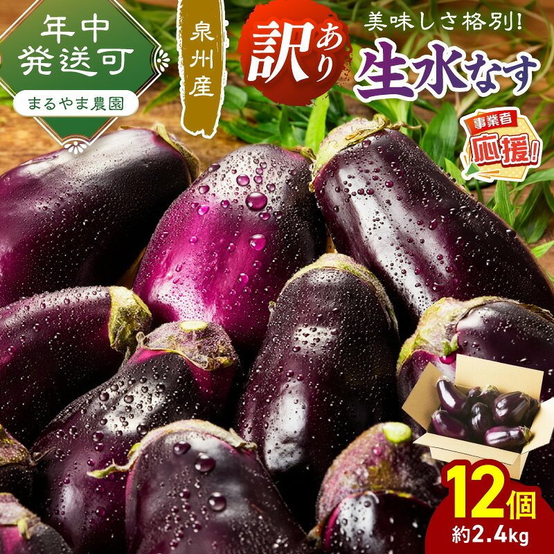 【ふるさと納税】まるやま農園 泉州生水なす訳あり品 12個入り【ふるさと納税3.0】 ふるさと納税 なす 茄子 水なす 泉州 丸山