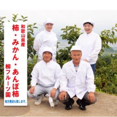 ふるさと納税 橋本市 【先行予約2026年配送】たねなし柿 約5kg　柳フルーツ園 |  | 03