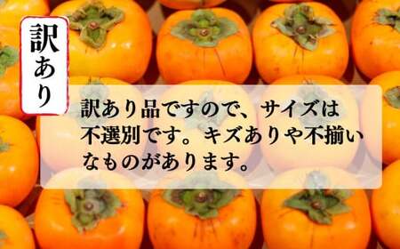 たねなし柿 訳あり 約7kg サイズ MIX | フルーツ くだもの 果物 柿 かき カキ たねなし柿 奈良県 五條市