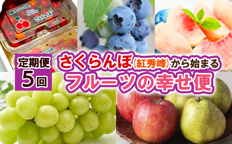 
            【定期便5回】さくらんぼ(紅秀峰)から始まるフルーツの幸せ便 【令和7年産先行予約】FS24-739
          