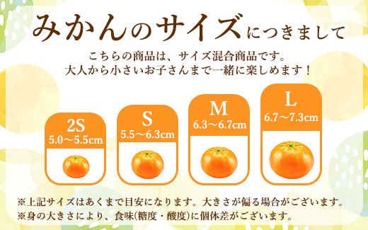 【まごころ手選別】和歌山産 有田みかん 4kg (2S～Lサイズ混合) ※2025年11月上旬～2026年1月下旬頃に順次発送予定