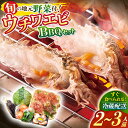 【ふるさと納税】【幻のエビを味わう】ウチワエビBBQセット〜安心の地元野菜付〜 平戸市 / ひらど新鮮市場 [KAB106] うちわエビ 海鮮 バーベキュー やさい 玉ねぎ しいたけ