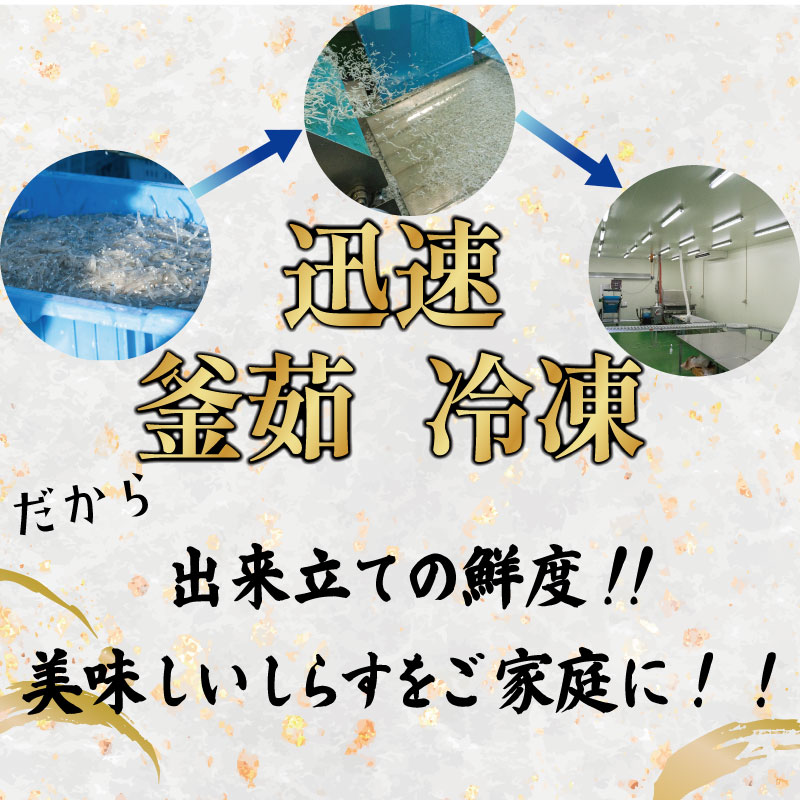 釜揚げ しらす 1kg 冷凍 鮮度 産地直送 しらす丼 海鮮 海鮮丼 魚介 魚 オススメ 小分け 人気 定番 ご飯