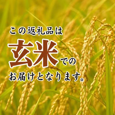 ふるさと納税 松阪市 コシヒカリ 玄米 10kg |  | 01