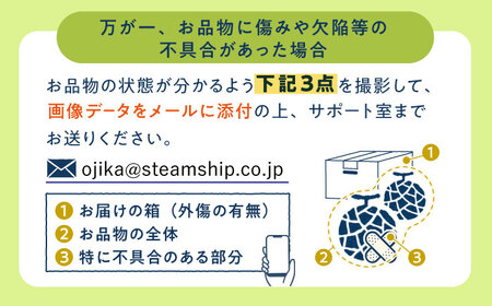 【先行予約メロン】【2024年8月初旬発送分】【糖度14以上】メロン アールスメロン 約4kg（2玉）《小値賀町》マスクメロン【ながさき西海農協小値賀地区園芸部会】[DAT002]  メロン マスクメ