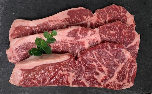 ステーキ 豊橋牛 ロースステーキ 200g×3枚 豊橋牛(とよはしうし) ステーキ ステーキ ステーキ ステーキ ステーキ ステーキ ステーキ ステーキ ロースステーキ ステーキ ロースステーキ ステーキ 豊橋 ステーキ 豊橋 ステーキ ロースステーキ ステーキ 豊橋 ステーキ ロースステーキ ステーキ 豊橋 ステーキ ロースステーキ ステーキ 豊橋 ステーキ ロースステーキ ステーキ 豊橋