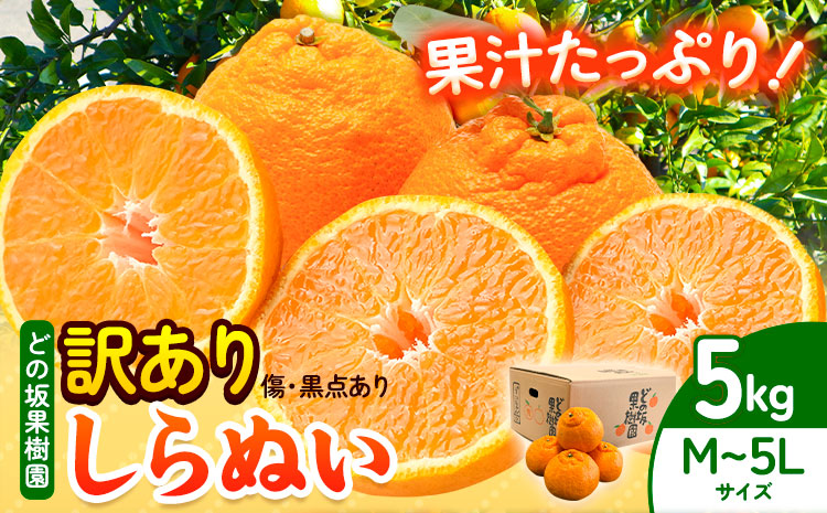 訳あり 不知火 ( デコポン と同品種 ) しらぬい 約 5kg (M～5Lサイズ) どの坂果樹園《2027年2月上旬-4月上旬頃出荷》 和歌山県 日高川町 しらぬい 不知火 デコポン でこぽん 旬 果物 フルーツ 柑橘 訳あり不知火 訳ありデコポン 訳ありしらぬい 送料無料