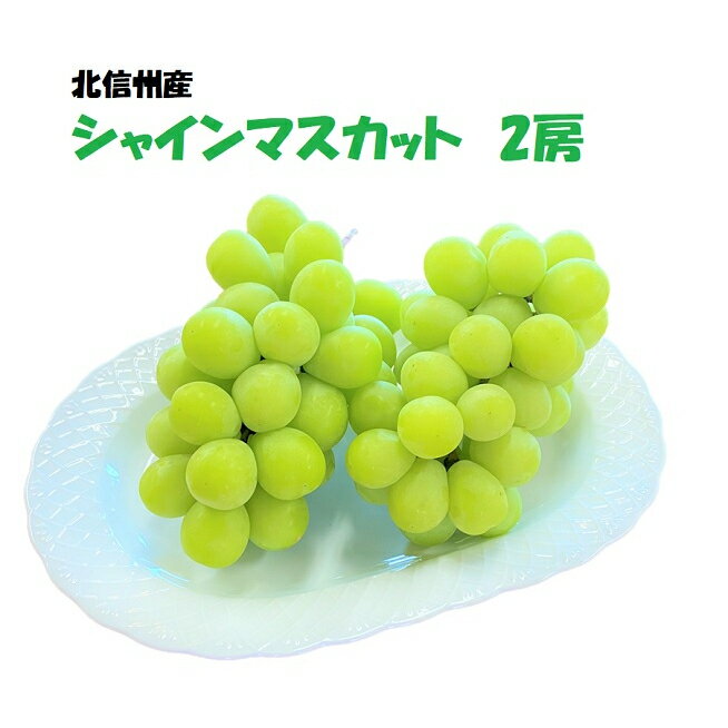 【ふるさと納税】＜先行予約＞ 北信州産シャインマスカット2房(7-A21)＜出荷開始：2025年9月上旬頃～下旬頃＞【 フルーツ 葡萄 ぶどう 長野県 飯山市 ギフト プレゼント 記念日 誕生日 父の日 母の日 敬老の日 記念品 シャイン マスカット 残暑見舞い】
