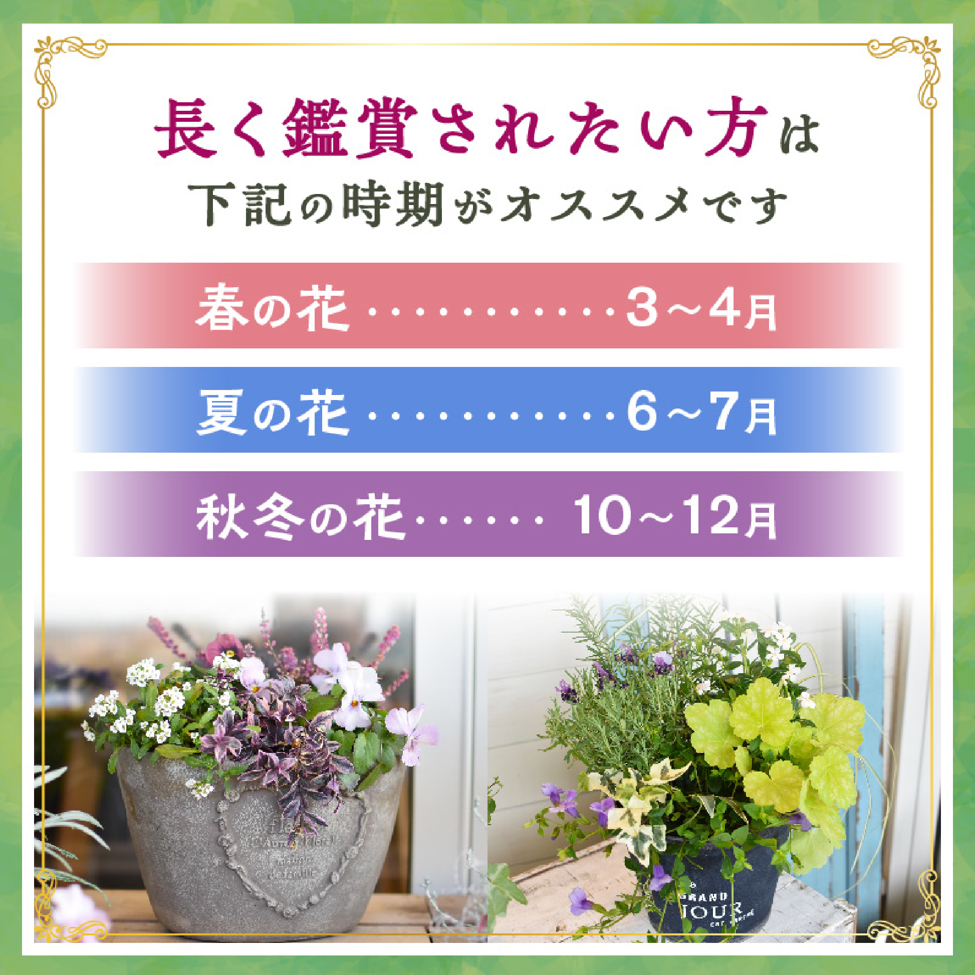 【お手軽ガーデニング】季節の寄せ植え<風の丘ガーデン>_イメージ2