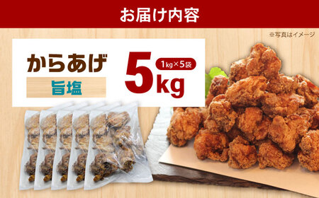 からあげ 旨塩からあげ 5kg[BDBC004-3]