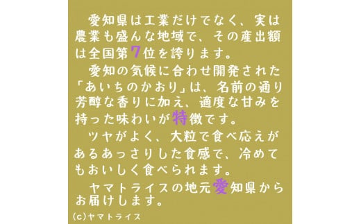 【精米】6回定期便 愛知県産あいちのかおり 200kg（5kg×40袋）　安心安全なヤマトライス 米 白米 国産 大容量 5キロ　H074-566