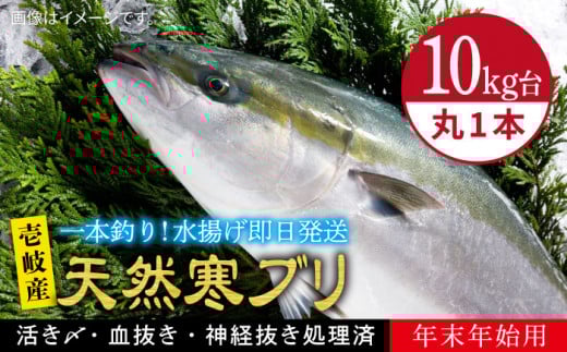 【11/1〜1/15お届け 年末年始用】天然 寒ブリ（10キロ台・丸もの） 《壱岐市》【壱岐島　玄海屋】[JBS034] ぶり 寒ぶり ブリ 魚 刺身 しゃぶしゃぶ 30000 30000円 30万