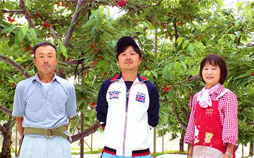 【令和8年産先行予約】 ラ・フランス 約5kg (19玉 秀 Lサイズ)