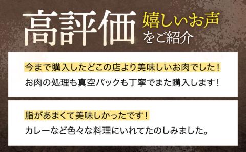 【12回定期便】ジビエ 天然イノシシ肉 角切り肉 1.2kg（カレー・シチュー）【照本食肉加工所】 [OAJ066]