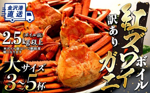 2027年2月発送【訳あり】金沢港より直送！ボイル紅ズワイガニ 大サイズ3～5杯セット 金沢市  北陸沖水揚げ 日本海 訳あり 冷蔵便 朝茹で ボイル済み 鮮度抜群 食べやすい カニ身 かにしゃぶ かに鍋 海鮮 魚介類 高級食材 冬の味覚 グルメ ギフト 贈答用 人気 おすすめ お取り寄せ 通販 送料無料 ふるさと納税