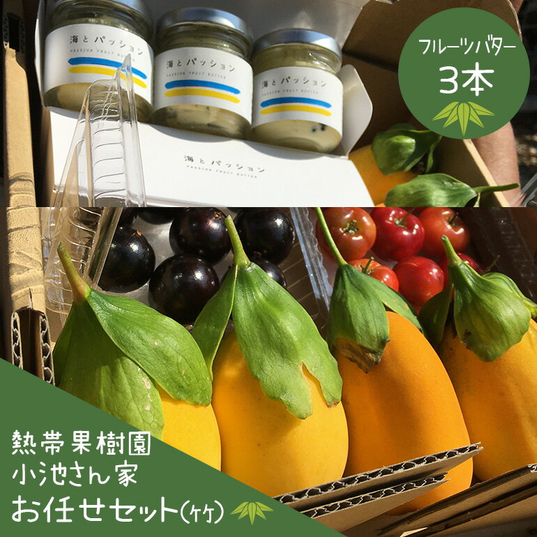 【ふるさと納税】【先行予約 2026年 発送】熱帯果樹園小池さん家 お任せ セット （竹） フルーツバター 大瓶 3個入り 沖縄 旬 フルーツ 薬味 ハーブ 野菜 ナッツ お任せセット 果物 バター 詰め合わせ パッションフルーツ マンゴー ライチ 旬の果物 おまかせ 送料無料