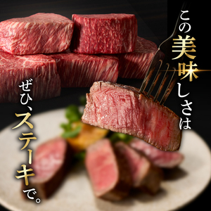 佐賀牛シャトーブリアン＆フィレ 約2.4kg ／ シャトーブリアン【E030】