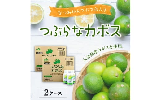 つぶらなカボス　2ケース 大分県 夏みかん つぶ入り 飲みやすい 果肉 さわやか はちみつ ジュース ご当地 ドリンク 果汁 I02044