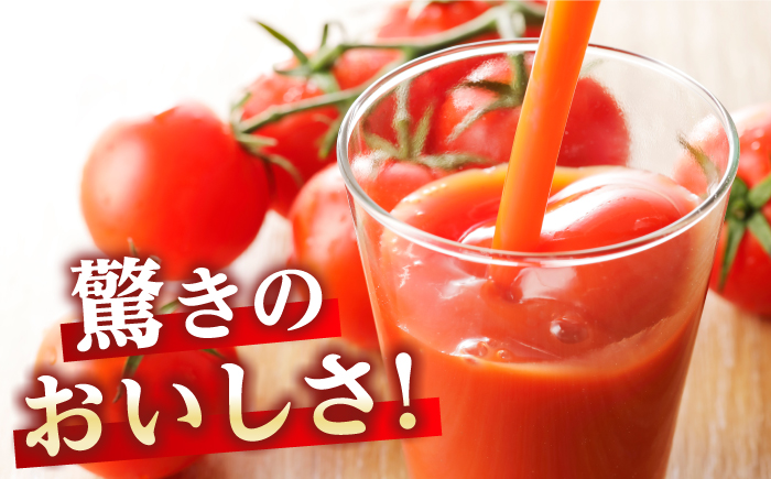 あま壱岐100％！トマトジュース 500ml×6本《壱岐市》【壱岐の潮風】とまと 100% 無添加 野菜ジュース ソフトドリンク ギフト プレゼント 飲料 贈答 冷蔵配送 41000 41000円 4