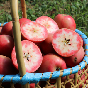 御所川原りんごジュース (1Ｌ×3本) / ストレート果汁100% 果肉まで赤～いりんご「御所川原」使用 りんごジュース