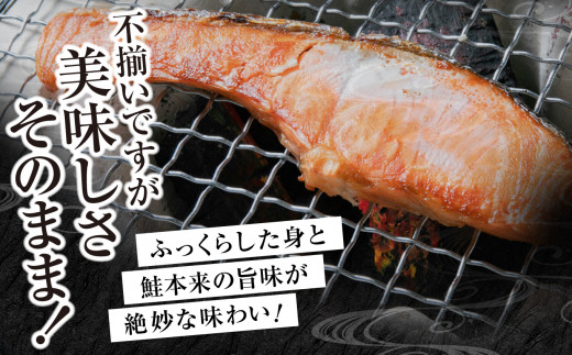 訳あり  銀鮭 切身 甘口 ( 不揃い ) 約2kg 鮭 冷凍 切り身 ワケあり わけあり カマ尻尾込み ss00005