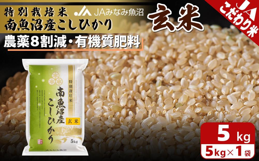 【令和7年産】特別栽培米南魚沼産こしひかり8割減 玄米 5kg ≪農薬8割削減 有機肥料 調整玄米 精選玄米 特A獲得日本一産地 もっちり甘い 南魚沼産コシヒカリ コシヒカリ こしひかり 銘柄米≫