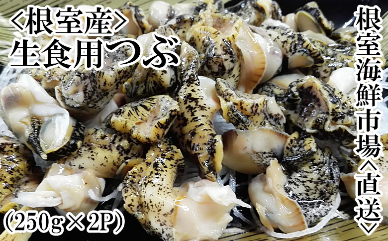 【北海道根室産】生食用灯台つぶ(ボイル済)250g×2P(計500g) G-14040
