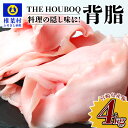 【ふるさと納税】【業務用】THE HOUBOQ 旨味たっぷり 豚背脂 【合計4Kg】 国産 肉 豚肉 フリーレンジ 放牧 豚 ぶた ブタ 冷凍 長期保存 誕生日 宮崎県産 九州産 パーティー 多用途 アウトドア ポーク ラーメン チャーハン 隠し味 料理 調理 おすすめ 背油 背脂 調味料 HB-107