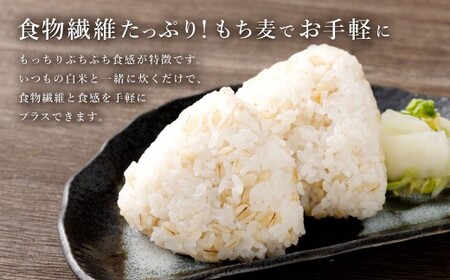 【はくばく】もち麦スタンドパック 600g（50g×12袋）×6袋 もち大麦 穀物 食物繊維 ご飯 ごはん 山梨県 中央市 送料無料