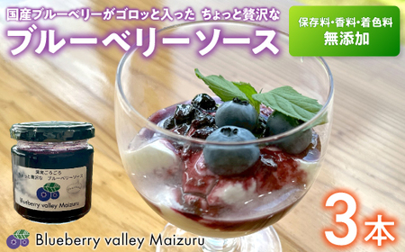 ブルーベリーソース 3本 180g×3 ブルーベリー