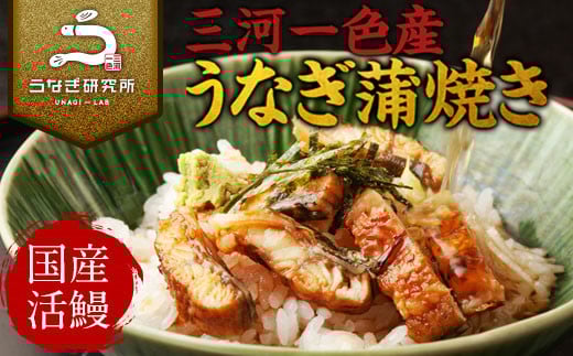 三河一色産うなぎ蒲焼　きざみうなぎ 4個(280g以上)・R010