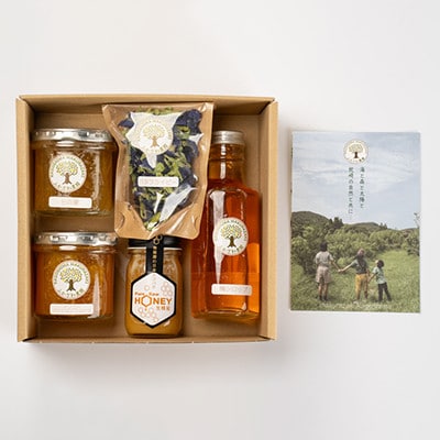 【のし付き・お中元】生蜂蜜・梅シロップ・ジャム2種・バタフライピーバラエティセット　BB-2004C
