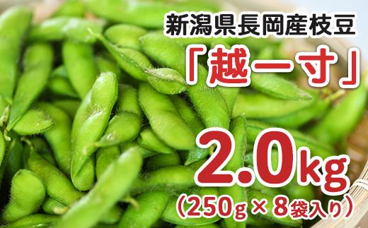 
75E-12A新潟県長岡産枝豆2.0kg【越一寸250g×8袋入り】
