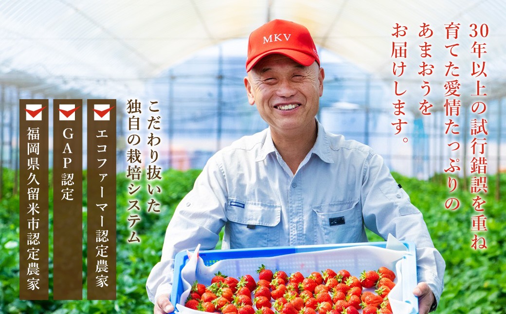 エコファーマー あまおう 約280g×2パック 計560g
