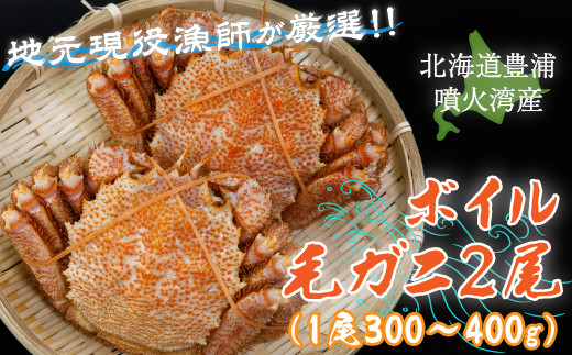 
                  【地元現役漁師が厳選！！】ボイル・毛ガニ2尾（1尾300～400g）北海道 豊浦 噴火湾
                