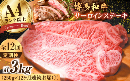 【12回定期便】博多和牛 サーロインステーキ250g×1枚 肉 牛肉 ステーキ 黒毛和牛 バーベキュー 広川町 / 株式会社MEAT PLUS [AFBO004]