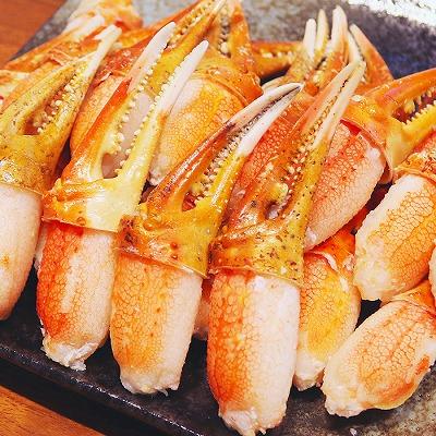 ふるさと納税 根室市 ボイルずわい爪1kg A-32037