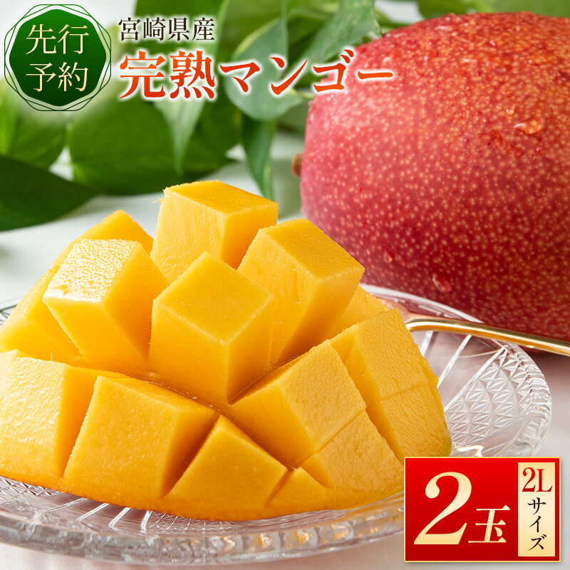 【ふるさと納税】＜先行予約＞宮崎県産 完熟マンゴー 2L×2玉 数量限定 人気 フルーツ 果物 ギフト