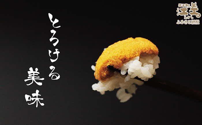 【令和7年発送予約】北海道 江差前浜産 生うに 200g（100g×2パック）【無添加・みょうばん不使用】江差産天然キタムラサキウニ　日本海熊石産海洋深層水　塩水ウニ　素材を生かした自然の味　国産うに
