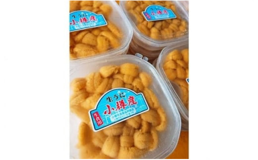 北海道小樽市 塩水キタムラサキ ウニ 100g×2パック 合計200g【漁師直送】