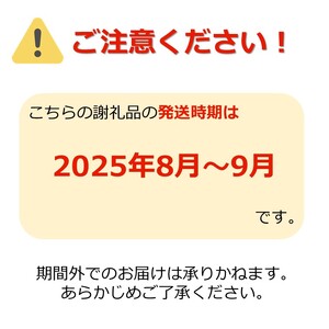 【2025年8月～9月発送分先行受付】糖度14度以上保証！「秀品」山形県産 桃（品種おまかせ）約3kg_H207(R7)