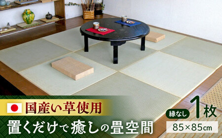 一畳屋 たたみっこ 縁無し 畳 1枚  畳[AYAB110]