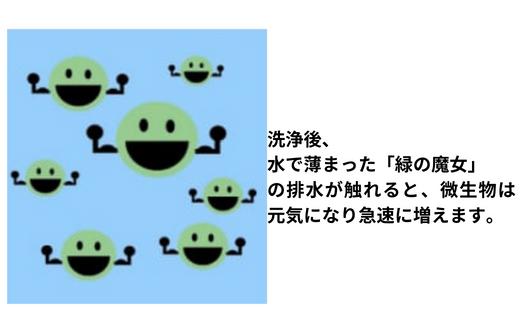 迷ったらこれ　ふるさと納税専門誌掲載品　洗濯洗剤+パイプクリーナー機能持つ緑の魔女ランドリー5L×3【洗剤 液体 環境配慮 洗濯 1万件以上の口コミ 世界中で愛される 洗濯洗剤 洗濯用洗剤 衣類洗剤 