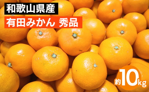 和歌山県産 有田みかん 約10kg 秀品 ※2025年10月中旬～2026年1月下旬頃に順次発送予定 ※北海道・沖縄・離島への配送不可