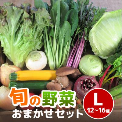 ふるさと納税 安芸高田市 旬の野菜【L】セット[No5895-0458]