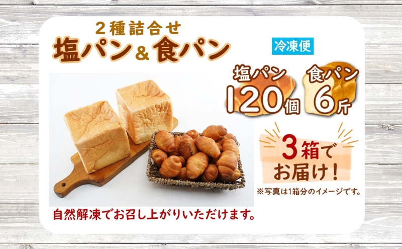 北海道 パン 2種 詰合せ 塩パン 120個 食パン 6斤 北海道産 小麦 パン トースト 手作り 自家製 焼きたて ベーカリー 朝食 朝ごはん 軽食 モーニング 冷凍 お取り寄せ 食べ比べ セット 